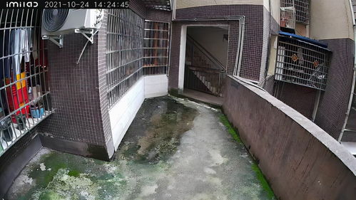小白別墅攝像頭體驗 太陽能供電，無限續航，告別布線煩惱